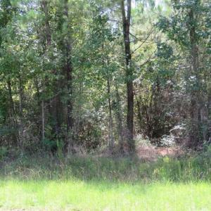 Photo of SOLD!!  11 acres of Residential and Hunting Land for Sale in Columbus County NC!