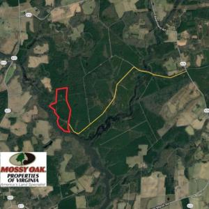 Photo of SOLD!!  100 Acres of Hunting Land For sale in Surry County VA!