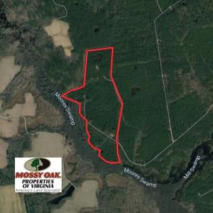 Photo of SOLD!!  100 Acres of Hunting Land For sale in Surry County VA!