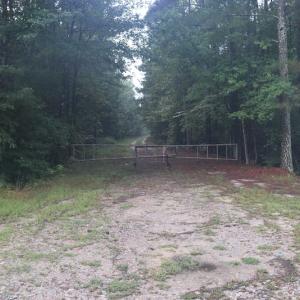 Photo of SOLD!!  100 Acres of Hunting Land For sale in Surry County VA!