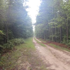 Photo of SOLD!!  100 Acres of Hunting Land For sale in Surry County VA!