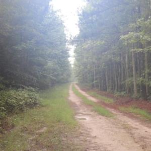 Photo of SOLD!!  100 Acres of Hunting Land For sale in Surry County VA!