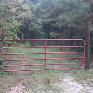 Photo of SOLD!!  100 Acres of Hunting Land For sale in Surry County VA!