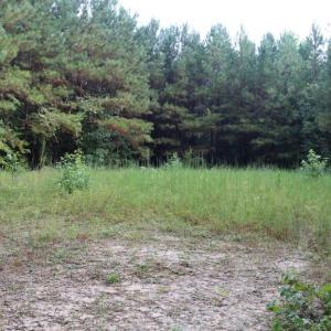 Photo of SOLD!!  100 Acres of Hunting Land For sale in Surry County VA!