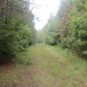 Photo of SOLD!!  100 Acres of Hunting Land For sale in Surry County VA!