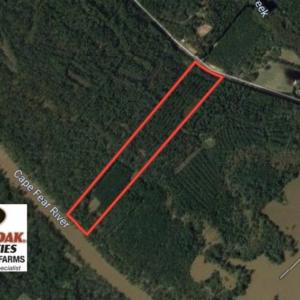 Photo of SOLD!!   32.01 Acres of Hunting and Timber Land for Sale in Bladen County NC!