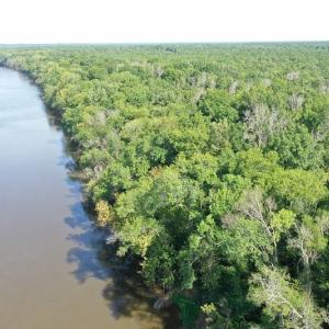 Photo of SOLD!!   32.01 Acres of Hunting and Timber Land for Sale in Bladen County NC!