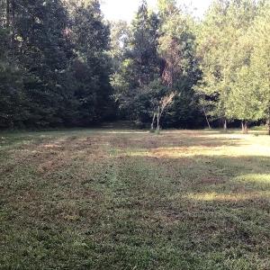 Photo of SOLD!!   32.01 Acres of Hunting and Timber Land for Sale in Bladen County NC!