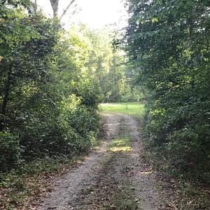 Photo of SOLD!!   32.01 Acres of Hunting and Timber Land for Sale in Bladen County NC!