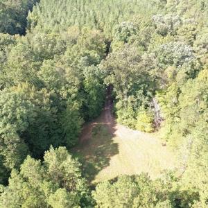 Photo of SOLD!!   32.01 Acres of Hunting and Timber Land for Sale in Bladen County NC!