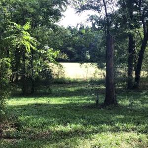 Photo of SOLD!!   32.01 Acres of Hunting and Timber Land for Sale in Bladen County NC!