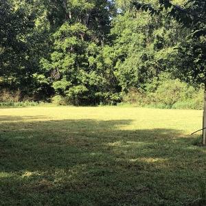 Photo of SOLD!!   32.01 Acres of Hunting and Timber Land for Sale in Bladen County NC!