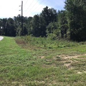 Photo of SOLD!!   32.01 Acres of Hunting and Timber Land for Sale in Bladen County NC!