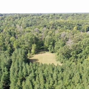 Photo of SOLD!!   32.01 Acres of Hunting and Timber Land for Sale in Bladen County NC!
