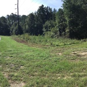 Photo of SOLD!!   32.01 Acres of Hunting and Timber Land for Sale in Bladen County NC!