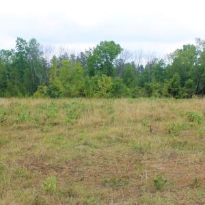 Photo of SOLD!!  8.64 Ac of Residential and Hunting Land For Sale in Cumberland Co VA!