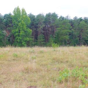 Photo of SOLD!!  8.64 Ac of Residential and Hunting Land For Sale in Cumberland Co VA!
