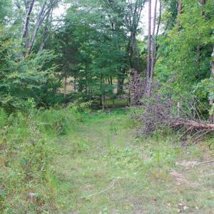 Photo of SOLD!!  8.64 Ac of Residential and Hunting Land For Sale in Cumberland Co VA!