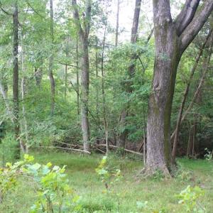 Photo of SOLD!!  8.64 Ac of Residential and Hunting Land For Sale in Cumberland Co VA!