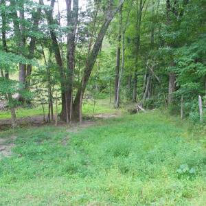 Photo of SOLD!!  8.64 Ac of Residential and Hunting Land For Sale in Cumberland Co VA!