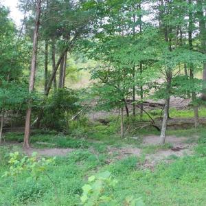 Photo of SOLD!!  8.64 Ac of Residential and Hunting Land For Sale in Cumberland Co VA!