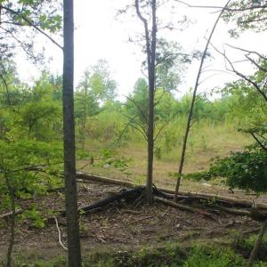Photo of SOLD!!  8.64 Ac of Residential and Hunting Land For Sale in Cumberland Co VA!