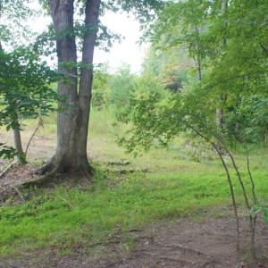 Photo of SOLD!!  8.64 Ac of Residential and Hunting Land For Sale in Cumberland Co VA!