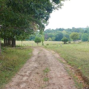 Photo of SOLD!!  8.64 Ac of Residential and Hunting Land For Sale in Cumberland Co VA!