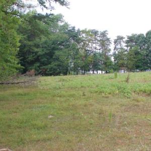 Photo of SOLD!!  8.64 Ac of Residential and Hunting Land For Sale in Cumberland Co VA!