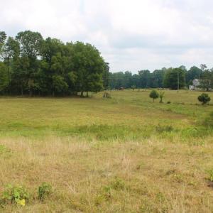 Photo of SOLD!!  8.64 Ac of Residential and Hunting Land For Sale in Cumberland Co VA!