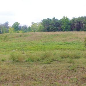 Photo of SOLD!!  8.64 Ac of Residential and Hunting Land For Sale in Cumberland Co VA!