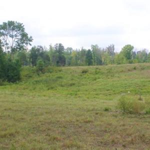 Photo of SOLD!!  8.64 Ac of Residential and Hunting Land For Sale in Cumberland Co VA!