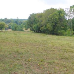 Photo of SOLD!!  8.64 Ac of Residential and Hunting Land For Sale in Cumberland Co VA!