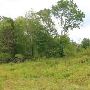 Photo of SOLD!!  8.64 Ac of Residential and Hunting Land For Sale in Cumberland Co VA!