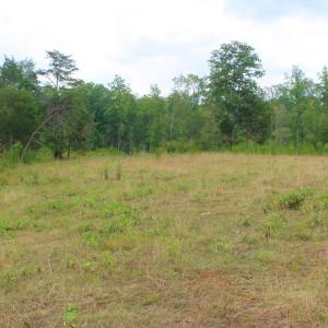 Photo of SOLD!!  8.64 Ac of Residential and Hunting Land For Sale in Cumberland Co VA!
