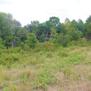 Photo of SOLD!!  8.64 Ac of Residential and Hunting Land For Sale in Cumberland Co VA!