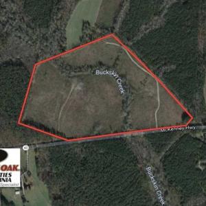 Photo of SOLD!!  66 Acres of Hunting Land for Sale in Dinwiddie County VA!