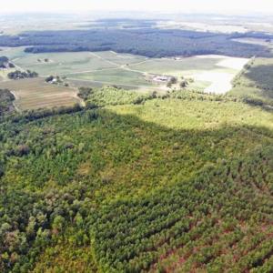 Photo of SOLD!!  61.12 Acres of Hunting Land for Sale in Greensville County VA!