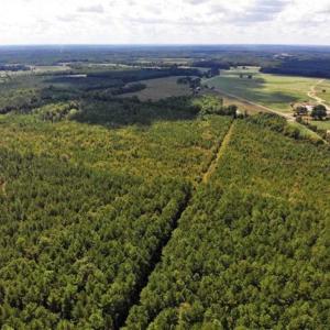 Photo of SOLD!!  61.12 Acres of Hunting Land for Sale in Greensville County VA!