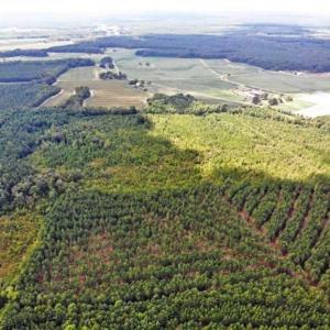 Photo of SOLD!!  61.12 Acres of Hunting Land for Sale in Greensville County VA!