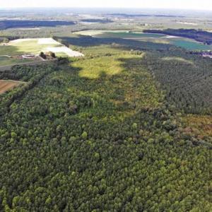 Photo of SOLD!!  61.12 Acres of Hunting Land for Sale in Greensville County VA!