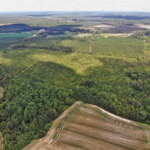 Photo of SOLD!!  61.12 Acres of Hunting Land for Sale in Greensville County VA!