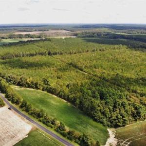 Photo of SOLD!!  61.12 Acres of Hunting Land for Sale in Greensville County VA!
