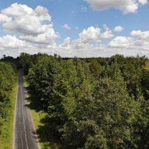 Photo of SOLD!!  61.12 Acres of Hunting Land for Sale in Greensville County VA!