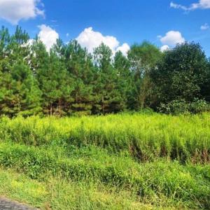 Photo of SOLD!!  61.12 Acres of Hunting Land for Sale in Greensville County VA!