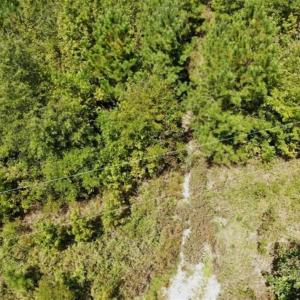 Photo of SOLD!!  61.12 Acres of Hunting Land for Sale in Greensville County VA!