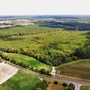 Photo of SOLD!!  61.12 Acres of Hunting Land for Sale in Greensville County VA!