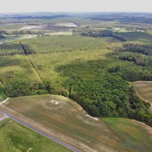 Photo of SOLD!!  61.12 Acres of Hunting Land for Sale in Greensville County VA!