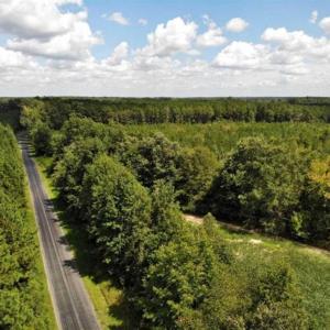 Photo of SOLD!!  61.12 Acres of Hunting Land for Sale in Greensville County VA!