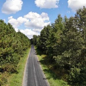 Photo of SOLD!!  61.12 Acres of Hunting Land for Sale in Greensville County VA!